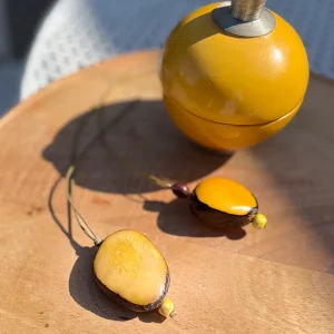 Colliers noix tagua jaune naturel Bijoux Lyon